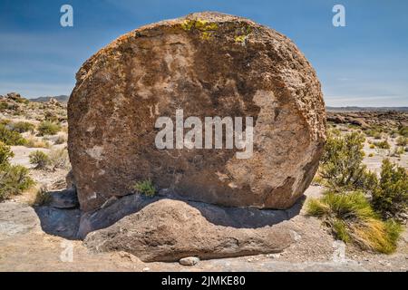 Petroglifi a tufo roccia masso, Crystal Wash, Pahranagat Valley, vicino Ash Springs, Nevada, USA Foto Stock