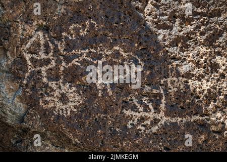 Pannello di petroglifi a tufo roccia masso, Crystal Wash, Pahranagat Valley, vicino Ash Springs, Nevada, USA Foto Stock