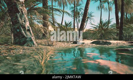 Oasi verde con laghetto nel deserto del Sahara Foto Stock