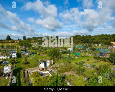 Vista aerea degli allottamenti di Alwoodley vicino a Leeds, West Yorkshire. Un'assegnazione vista in estate in una giornata di sole. Foto Stock