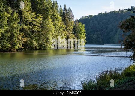 Una vista panoramica della natura a Ike Kinswa SP, Washington Foto Stock