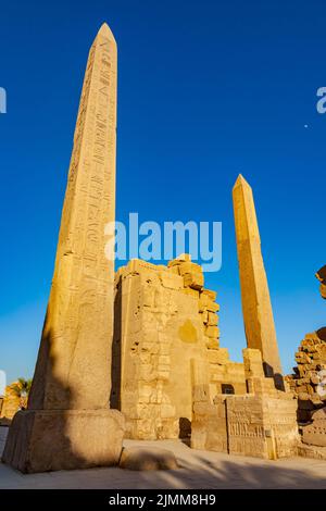 Vista dell'obelisco del faraone Thutmosis i e dell'obelisco del faraone Hatshepsut nel complesso del tempio di Karnak. Foto Stock