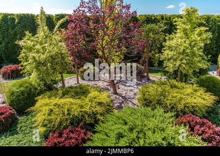 Vista aerea del bellissimo giardino paesaggistico con varietà di piante. Grande acero Rosso nel mezzo circondato da Thujas, Carpino e tutti K. Foto Stock