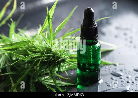 Pianta di cannabis e bottiglia con un olio CBD Foto Stock