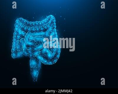 Illustrazione vettoriale poligonale di astrazione degli intestini su sfondo blu scuro. Apparato digerente, organo interno basso poli Foto Stock