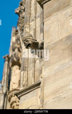 Gargoyle in arenaria sulla facciata medievale della cattedrale gotica di Magdeburg in Germania Foto Stock