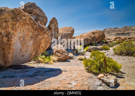 Petroglifi al masso di tufo di roccia, indicatore di percorso, Crystal Wash, Pahranagat Valley, vicino Ash Springs, Nevada, Stati Uniti Foto Stock
