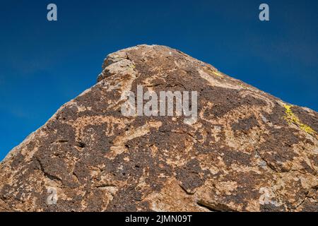 La pecora di Bighorn figura i petroglifi all'affioramento del tufo, il sito d'arte della roccia di Ash Springs, la valle di Pahranagat, vicino ad Ash Springs, Nevada, Stati Uniti Foto Stock