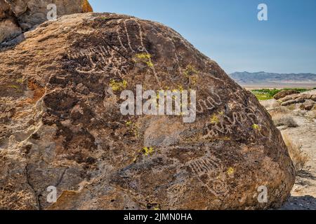 Pannello di petroglifi a tufo Outcrop, Ash Springs Rock Art sito, Pahranagat Valley, vicino Ash Springs, Nevada, USA Foto Stock