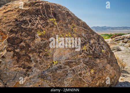 Pannello di petroglifi a tufo Outcrop, Ash Springs Rock Art sito, Pahranagat Valley, vicino Ash Springs, Nevada, USA Foto Stock