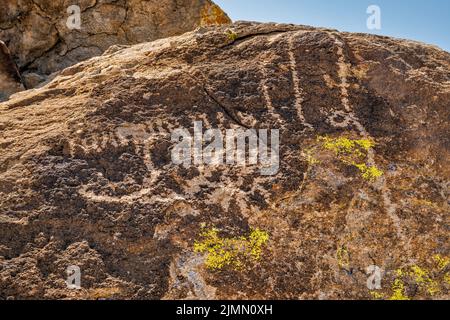 Pannello di petroglifi a tufo Outcrop, Ash Springs Rock Art sito, Pahranagat Valley, vicino Ash Springs, Nevada, USA Foto Stock