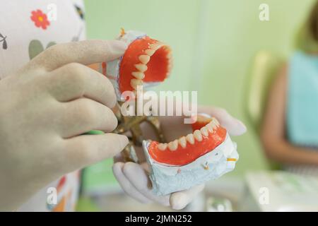 Il dentista tiene le dentarie nelle sue mani. Protesi dentaria nelle mani del medico primo piano. Vista frontale della dentiera completa. Odontoiatria concetto Foto Stock