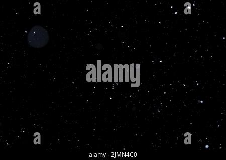 Elemento per il design invernale o la sovrapposizione. Neve vera su sfondo nero. Foto Stock