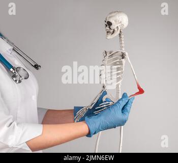 Medico che tiene il braccio scheletrico con gomito rosso e spiega ai pazienti la diagnosi medica o l'insegnamento dell'anatomia agli studenti. Concetto di educazione medica. Ciao Foto Stock
