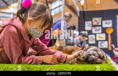 Sydney, Australia. 7th ago 2022. Una ragazza tocca un cane su Dog Lovers Show a Sydney, Australia, 7 agosto 2022. Dopo una pausa di tre anni a causa della pandemia COVID-19, il più grande evento dedicato ai cani, il Dog Lovers Show, ha portato ancora una volta i fan dei cuccioli in un paradiso di divertimento furioso. I club di razza del cane che rappresentano più di 40 razze nello stato del nuovo Galles del Sud (NSW) hanno preso parte all'evento di due giorni del fine settimana, portando oltre 800 cani allo spettacolo, che offre una buona opportunità per educare, intrattenere e ispirare i proprietari e gli amanti del cane. Credit: HU Jingchen/Xinhua/Alamy Live News Foto Stock