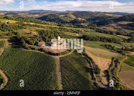 Piantagioni di vigneti, vista panoramica aerea nord Italia. Cielo blu, nuvole, colline di campagna in estate Foto Stock