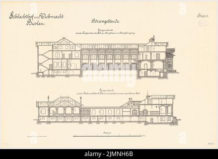 Plüddemann Richard (1846-1910), macello e mercato del bestiame, Wroclaw. Edificio Börsen (1894-1896): Sezioni longitudinali 1: 100. Litografia colorata sul cartone, 69 x 100,8 cm (inclusi i bordi di scansione) Foto Stock