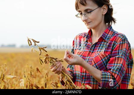 Contadina caucasica che ispeziona la soia in campo estate sera tempo da qualche parte in Ucraina Foto Stock