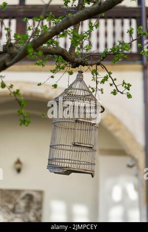 Vecchia gabbia di uccelli in legno come decorazione in un albero nel giardino Foto Stock