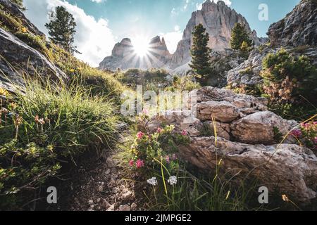 Vista da Steinerer Stadt al Sassolungo nel pomeriggio Foto Stock