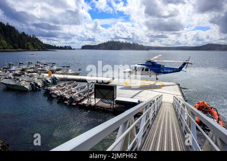 Langara Island, British Columbia, Canada - 3 giugno 2022: Elicottero Helijet che atterra sul molo e sull'eliporto di Langara Island Fishing Lodge a Haida G. Foto Stock