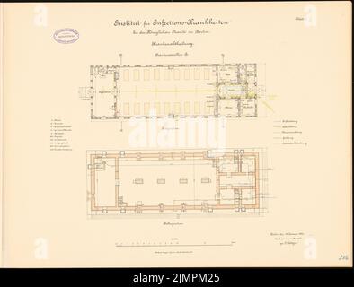 Böttger Paul (1851-1933), Istituto per le malattie infettive della Charité, Berlino (1891-1892): Padiglione dell'ospedale B: Grundriss Keller piano, piano terra 1: 100. Litografia colorata sul cartone, 48,5 x 63,6 cm (compresi i bordi di scansione) Böttger Paul (1851-1933): Institut für Infektionskrankheiten der Charité, Berlino Foto Stock