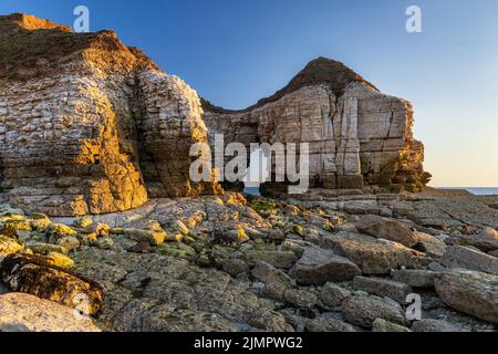 Thornwick Nab è un impressionante catasta e arco di mare a Thornwick Bay sulla costa dello Yorkshire orientale, Inghilterra, Regno Unito. Preso all'alba. Foto Stock