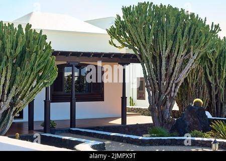 Tradizionale casa spagnola bianca con Cactus grande di fronte Foto Stock