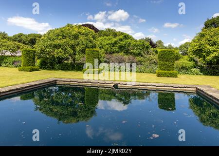 Laghetto riflettente a Scampston Hall Walled Garden, North Yorkshire, in estate. Un giardino contemporaneo di quattro acri progettato da Piet Oudolf. Foto Stock