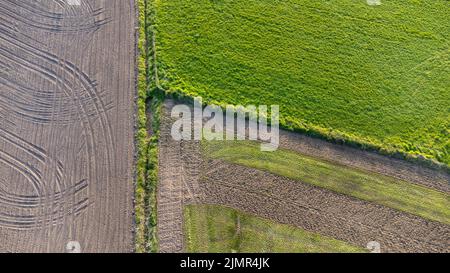 Vista aerea drone dall'alto verso il basso, file di suolo prima di piantare. Modello agricolo di fattoria in un campo arato preparato Foto Stock