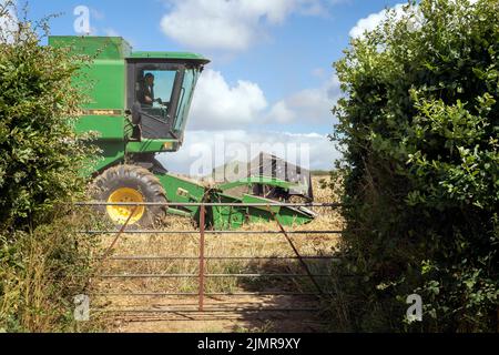 Una mietitrebbia John Deere 1177 che lavora sui campi a Stoke Climsland, Cornovaglia. Una delle poche aziende agricole possedute (non appaltatore) combina... Foto Stock