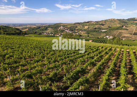 Piantagioni di vigneti, vista panoramica aerea nord Italia. Cielo blu, nuvole, colline di campagna in estate Foto Stock