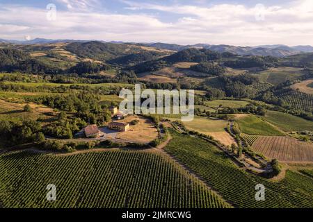 Piantagioni di vigneti, vista panoramica aerea nord Italia. Cielo blu, nuvole, colline di campagna in estate Foto Stock