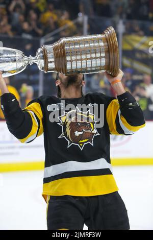 (Solo editoriale) Hamilton Bulldogs campioni OHL 2022. Luke Durda/Alamy Foto Stock