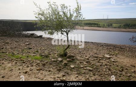 Ripponden, Regno Unito. 7th Agosto 2022. Baitings Reservoir è un grande approvvigionamento idrico gestito da Yorkshire Water and supply's Wakefield. La bassa caduta di pioggia ha lasciato l'acqua bassa con i visitatori in grado di camminare sulle aree di solito piedi sotto l'acqua. Ripponden, Regno Unito. Credit: Barbara Cook/Alamy Live News Foto Stock