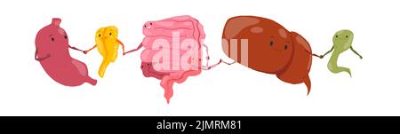 Set vettoriale di illustrazioni di organi interni umani. Cuore, polmoni, reni, fegato, stomaco, Vescica, pancreas, intestino crasso sorridente personaggi Foto Stock