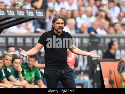 Allenatore Daniel FARKE (MG) gesto gesto Calcio 1st Bundesliga 1st matchday Borussia Monchengladbach (MG) - TSG 1899 Hoffenheim (1899) il 6th agosto 2022 a Borussia Monchengladbach/ Germania. Le normative #DFL vietano l'uso di fotografie come sequenze di immagini e/o quasi-video # © Foto Stock