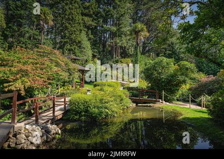 Giardino in stile giapponese con stagni, sentieri, ponti e vegetazione verde nei giardini di Powerscourt, Irlanda Foto Stock