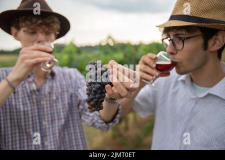 Due agricoltori sorseggono il vino del vigneto e raccolgono l'uva, la produzione di vino Foto Stock