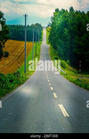 Hokkaido lunga strada e natura Foto Stock