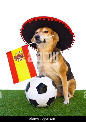 Cane con cappello di flamenco, bandiera spagnola e palla da calcio Foto Stock