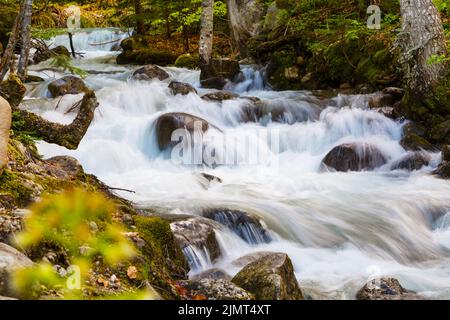 Chiudere la cascata del fiume di montagna durante l'alto flusso d'acqua Foto Stock