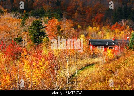 Un fienile solista si erge tra le brillanti foglie e colori autunnali su una collina nel New England durante la stagione delle foglie di picco autunno Foto Stock