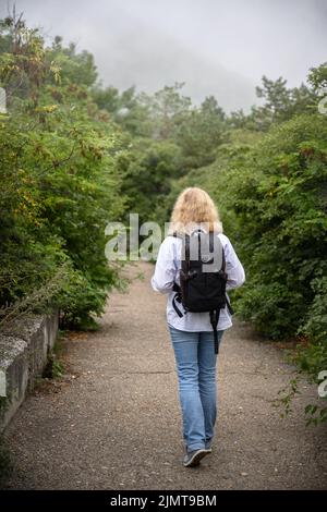 Solitario escursionista donna passeggiate nella foresta di montagna nebbia. Il viaggiatore della ragazza è solo sul percorso in boschi. Il giovane va via sul sentiero del parco. Concetto di escursione, adv Foto Stock