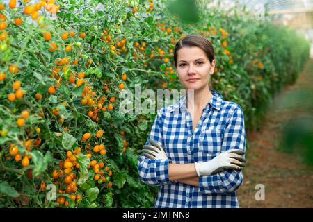 Coltivatore femminile di successo in serra vicino ai pomodori gialli dell'uva Foto Stock