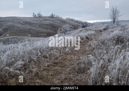 Inverno in arrivo. Nuvoloso e nebbia mattina molto tardo autunno montagne scena. Tranquillo viaggio pittoresco, stagionale, natura e c Foto Stock