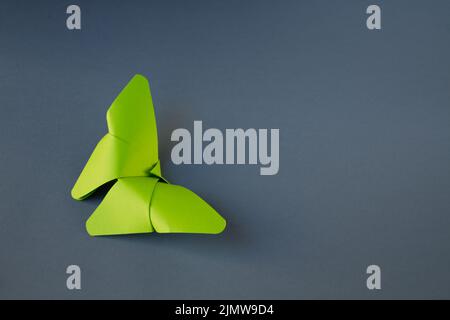 Origami farfalla di carta verde isolato su uno sfondo grigio Foto Stock