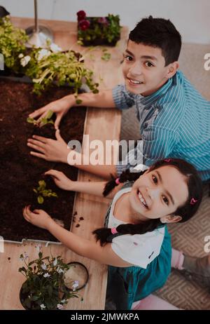 Ciò si sta trasformando in un'esperienza molto entusiasmante. Ritratto ad angolo alto di due adorabili fratelli sorridenti mentre sperimentano con piante a casa. Foto Stock