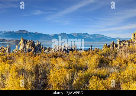 Sponde del lago MONO Foto Stock