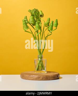 Vaso in vetro trasparente con fiori secchi verdi su tavolo bianco, fondo giallo Foto Stock